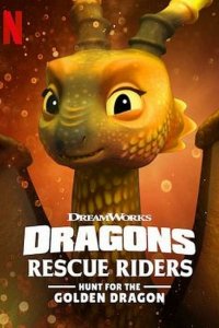 Image Dragons : Les Gardiens du ciel : À la poursuite du dragon d'or