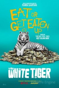 Image Le Tigre blanc